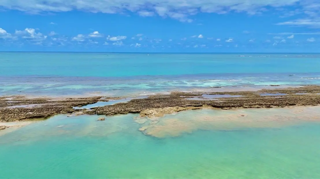 Guia 2025 da Praia dos Carneiros
