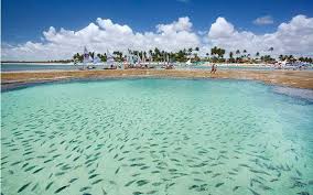 Guia de Porto de Galinhas- Como Incluir o Destino em seu Roteiro em Carneiros